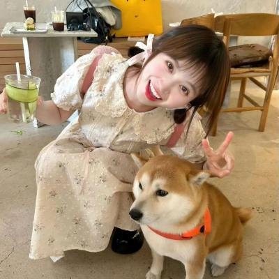 猫之茗第二季